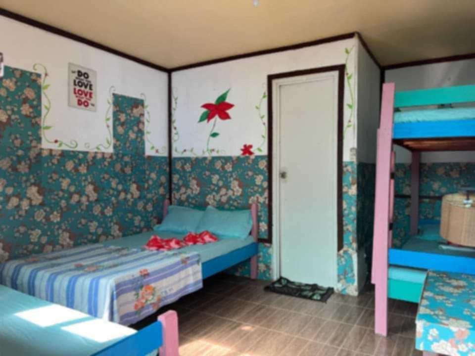 Paradise Budget Palawan Hostel 爱妮岛 外观 照片